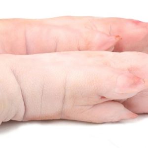 Buy Frozen Pork feet front and hind online