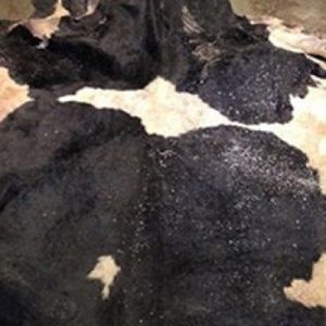 Buy Wet salted Cow Hides online